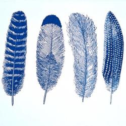 Feathers Decal Sheet