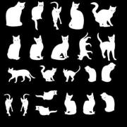 Etched Cat Silhouette Pattern