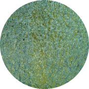 cbs-dichroic-coating-blue-gold-on-black-ripple-coe96-sku-15723-539x539.png