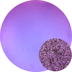 cbs-dichroic-coating-crinklized-purple-on-thin-black-glass-coe90-sku-6657-883x883.png