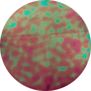 cbs-dichroic-coating-salmon-aurora-borealis-pattern-on-thin-black-glass-coe96-sku-176964-700x700.png