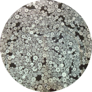 cbs-dichroic-coating-silver-with-stell-gears-pattern-glass-coe96-sku-153933-541x541.png