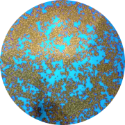 cbs-dichroic-coating-yellow-blue-splatter-pattern-on-thin-black-glass-coe90-sku-163172-542x542.png
