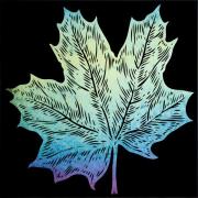 Etched Iridescent Maple Leaf Pattern COE90