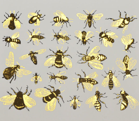Gold and Black Bee Decals Sheet