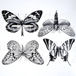 Large Butterflies Decal Sheet
