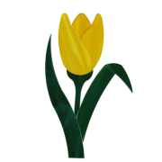 precut-tulip-coe96-sku-171244-515x515.png