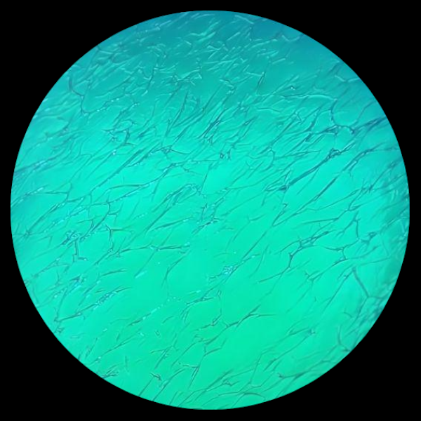 CBS Dichroic Coating Aqua on Oceanside Clear Krinkle Texture Glass COE96