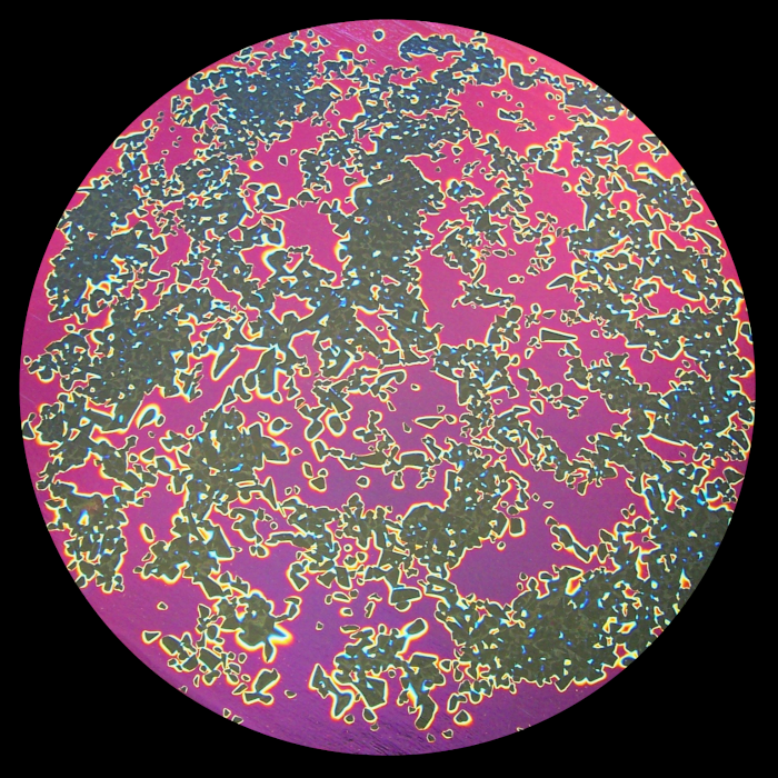 CBS Dichroic Coating Black Cherry Splatter Pattern on Thin Black Glass COE90