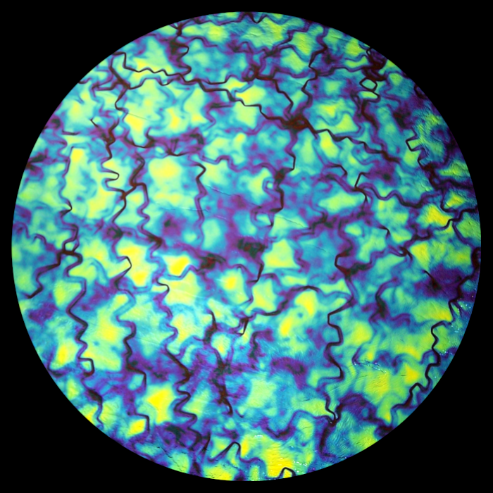 CBS Dichroic Coating Blue/ Gold Fusion Pattern on Oceanside Clear Rainwater Texture Glass COE96