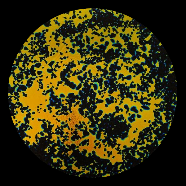 CBS Dichroic Coating Cyan/ Copper Splatter Pattern on Thin Black Glass COE90