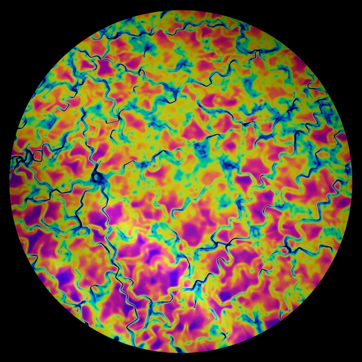 CBS Dichroic Coating Green/ Magenta Fusion Pattern on Thin Black Glass COE90