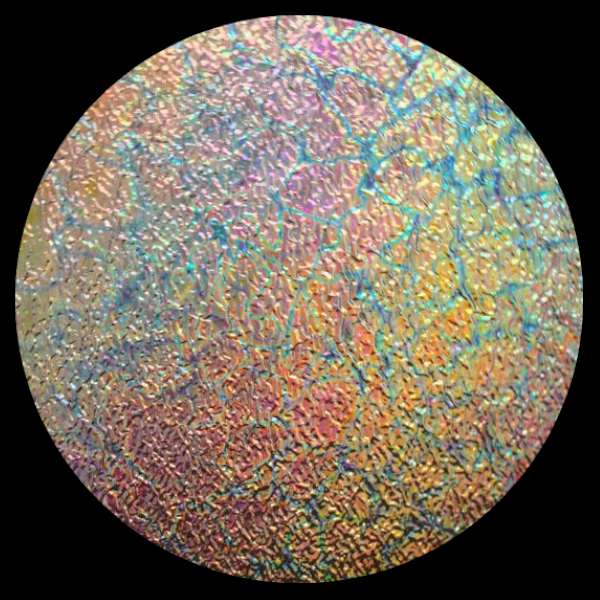 CBS Dichroic Coating Mixture Reptilian Pattern on Clear Ripple Glass COE90