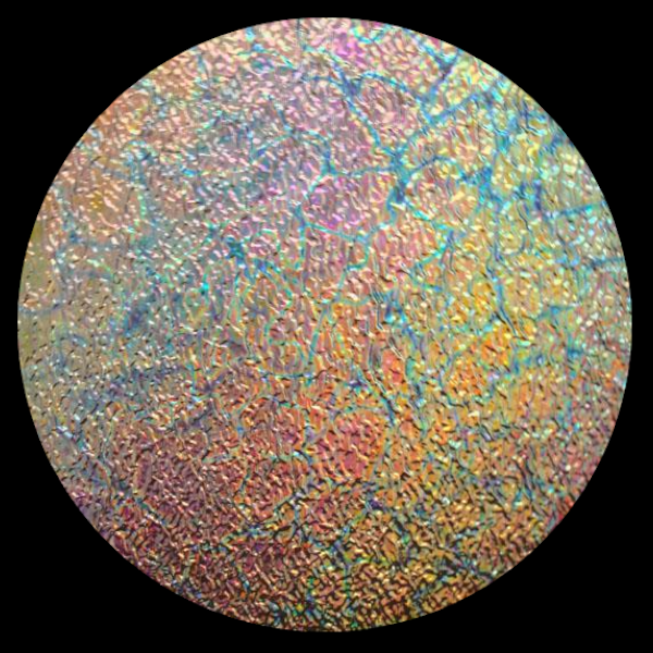 CBS Dichroic Coating Mixture Reptilian Pattern on Clear Ripple  Glass COE96