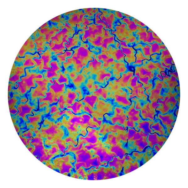 CBS Dichroic Coating Crinklized Green/ Magenta Blue Fusion Pattern on Thin Clear Glass COE90