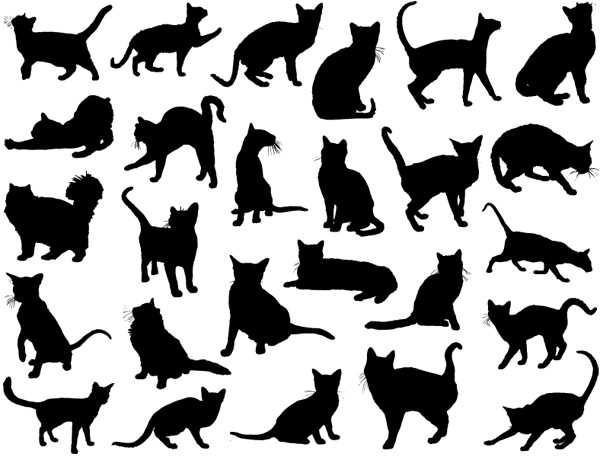 Cats Decal Sheet