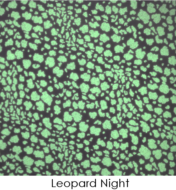 Glow Decal Leopard Pattern