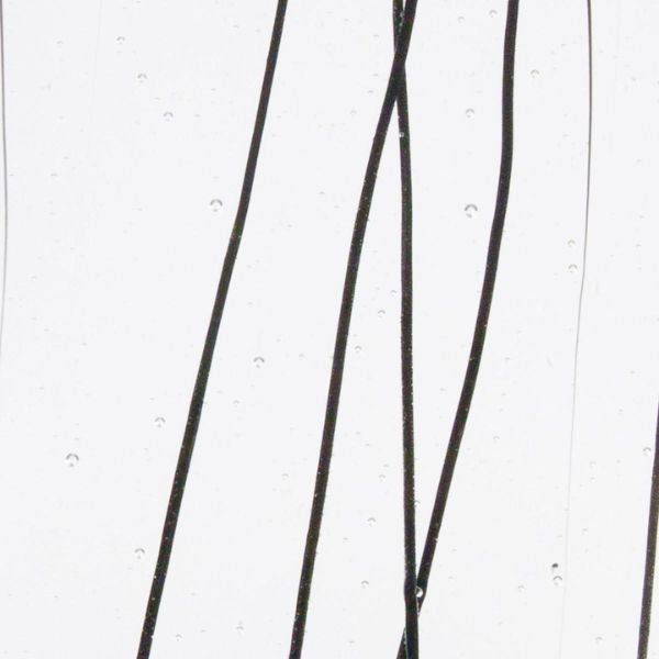 Bullseye Glass Black Streamers on Clear COE90