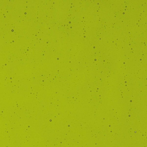 Bullseye Glass Fern Green Transparent, Double-rolled, 3mm COE90