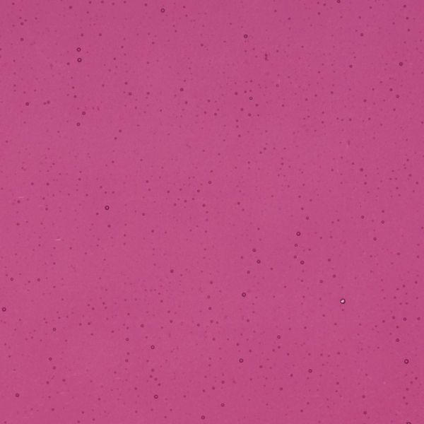 Bullseye Glass Fuchsia Transparent, Thin-rolled, 2mm COE90