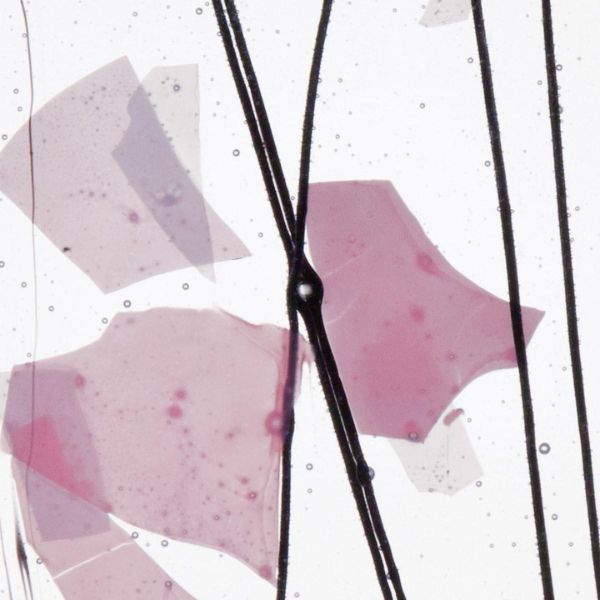 Bullseye Glass Light Pink & White Fractures-Streamers on Clear COE90