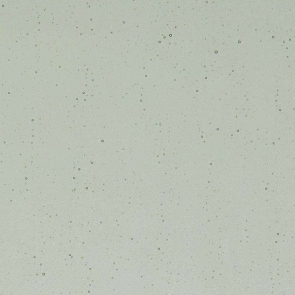 Bullseye Glass Light Silver Gray Transparent Frit COE90