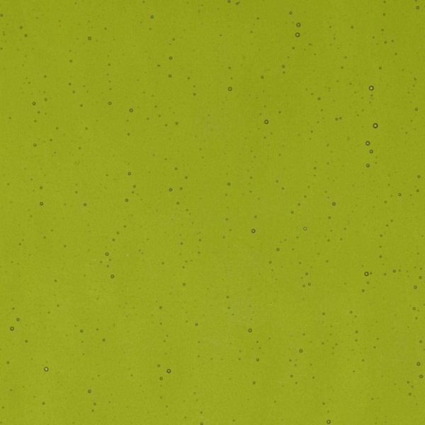 Bullseye Glass Pine Green Transparent Frit COE90