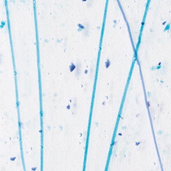 Bullseye Glass Royal Blue and Turquoise Frit, Cobalt Blue and Turquoise Streamers on Clear COE90