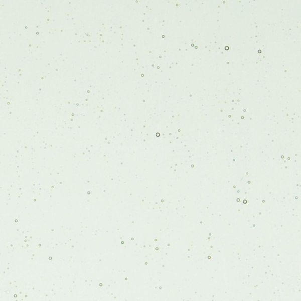 Bullseye Glass Spruce Green Transparent Tint Frit COE90