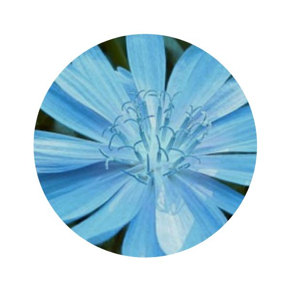 Color Line Paint Pen, Deep Sky Blue 2.2 oz.