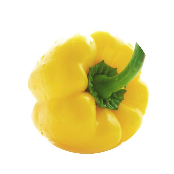 Color Line Paint Pen, Yellow 2.2 oz.