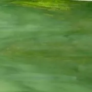 Wissmach Glass Conifer Smooth 3mm, Non-Fusible