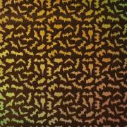 Etched Bats Pattern on Thin Glass COE96