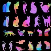 Etched Cat Silhouette Pattern on Thin Glass COE90