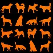 Etched Dog Silhouette Pattern on Thin Glass COE96