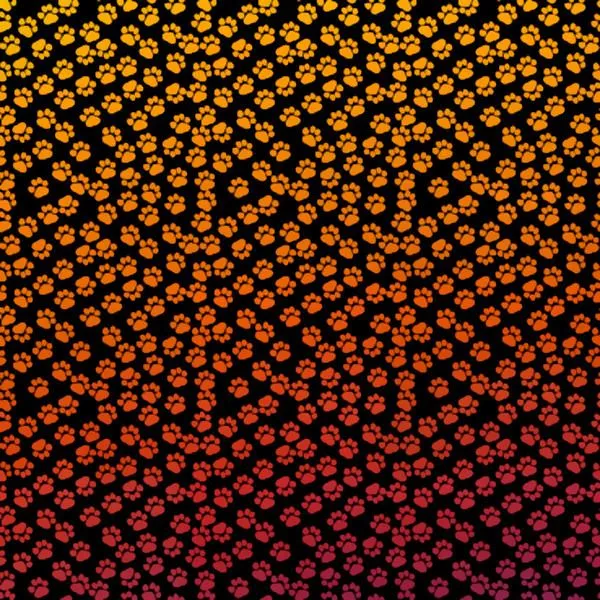 Etched Paw Print Pattern on Thin Glass COE90
