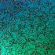Etched Spiderweb Pattern on Thin Glass COE96