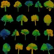 Etched Tree Silhouette Pattern on Thin Glass COE90