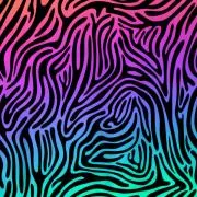 Etched Zebra Pattern on Thin Glass COE96