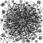 Etched Tulip Burst Pattern