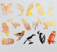 birds-decals-sheet-sku-153554-640x582.png