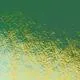 Bullseye Glass Kelly Green Transparent Rainbow Iridescent Double-rolled 3mm COE90