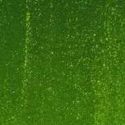 bullseye-glass-light-aventurine-green-transparent-thin-rolled-2mm-coe90-sku-152337-600x600.jpg