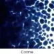 Bullseye Glass Midnight Blue Transparent Frit COE90