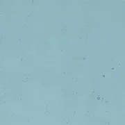 bullseye-glass-sea-blue-transparent-thin-rolled-2mm-coe90-sku-6367-600x600.jpg