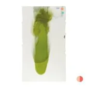 Bullseye Glass Warm White, Pine Green Cascade Streaky 3mm COE90