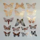 Butterflies Decal Sheet