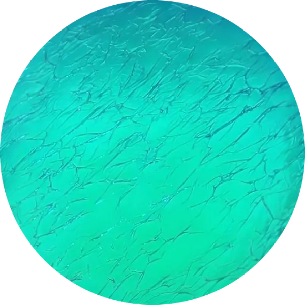 CBS Dichroic Coating Aqua on Oceanside Clear Krinkle Texture Glass COE96
