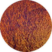 CBS Dichroic Coating Black Cherry on Clear Granite  COE96