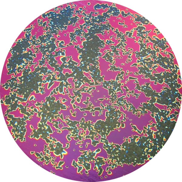 CBS Dichroic Coating Black Cherry Splatter Pattern on Thin Black Glass COE90